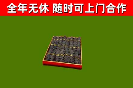 东营回收海参